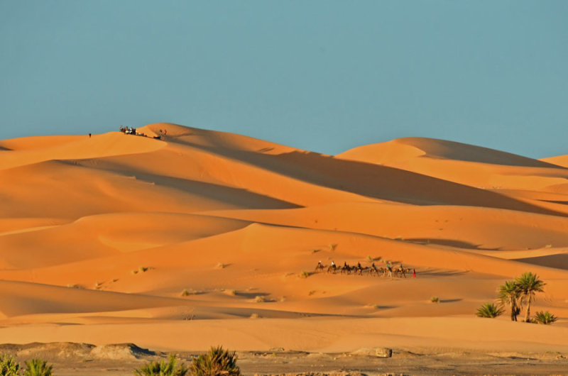 02 Erg Chebbi, Morocco, in afternoon light - Moroc 4391