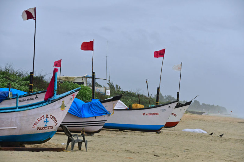 Goa beach - India 1 8614