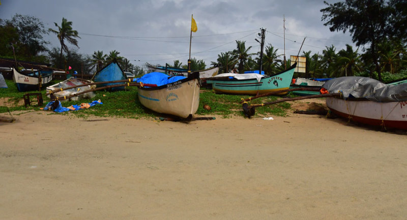 Goa beach - India 1 8619
