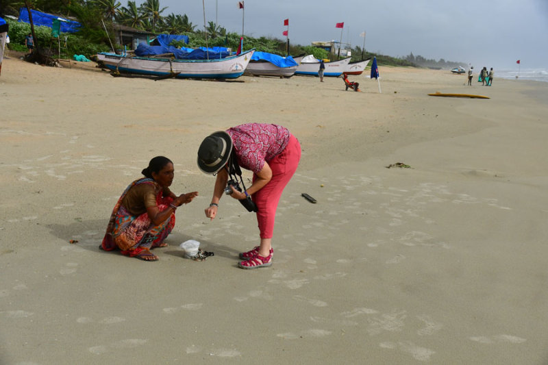 Goa beach - India 1 8625