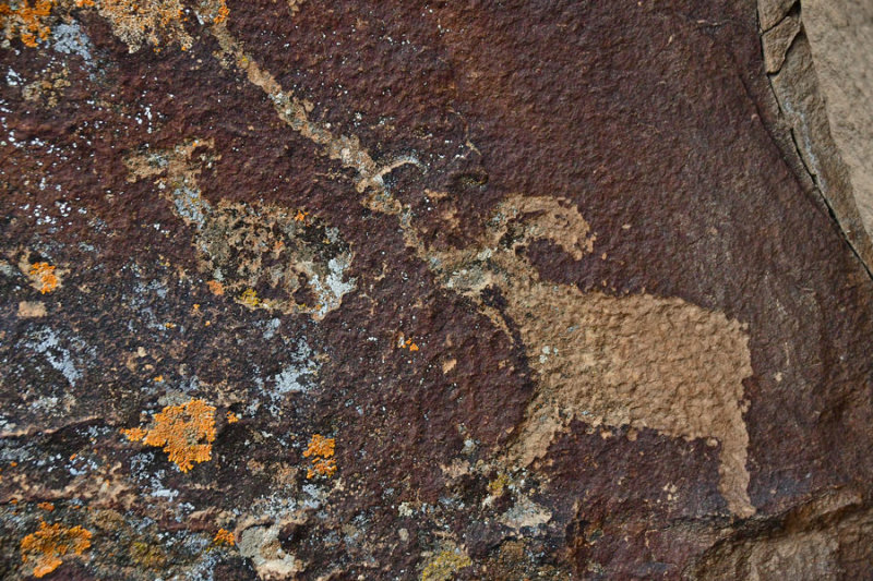 Nine Mile Canyon petroglyphs - Utah19 2 0039