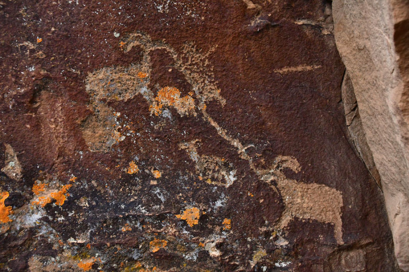 Nine Mile Canyon petroglyphs - Utah19 2 0040
