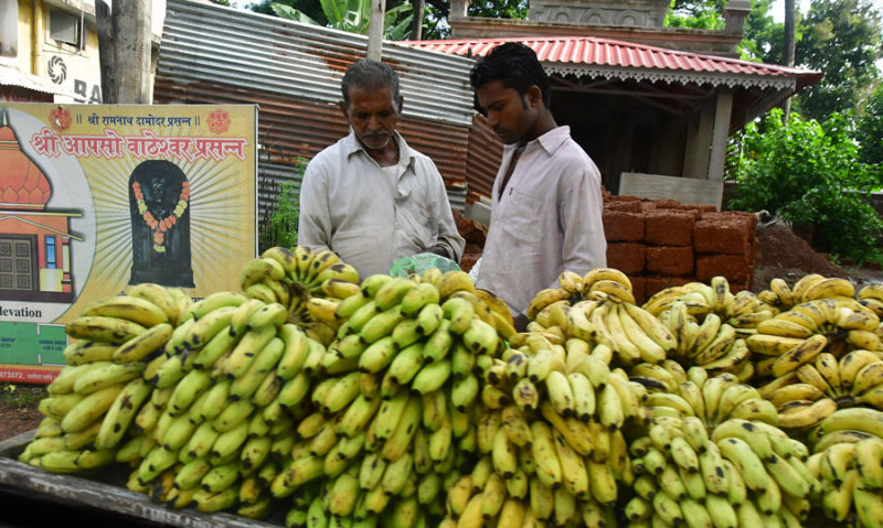Banana vendor - India 1 8666