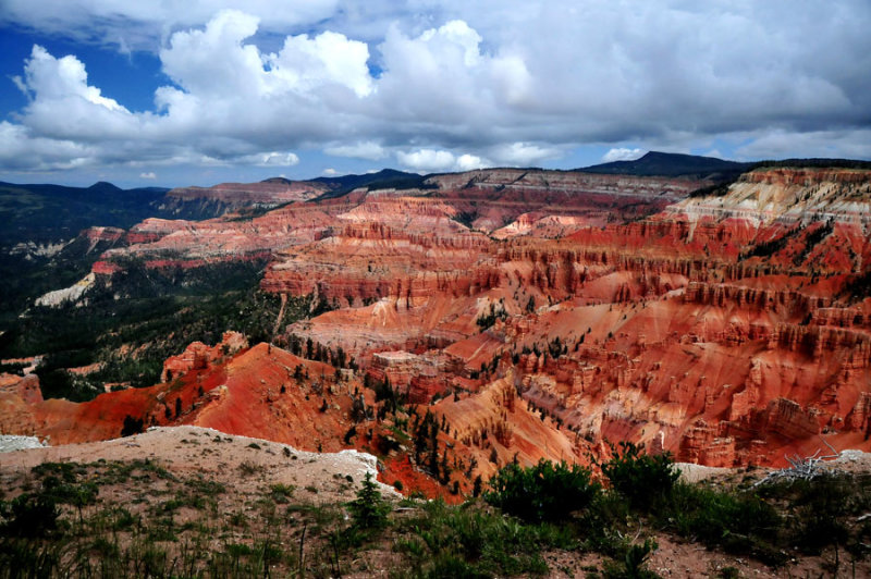 Cedar Breaks view - Utah15 7390