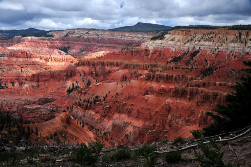 Cedar Breaks view - Utah15 7416