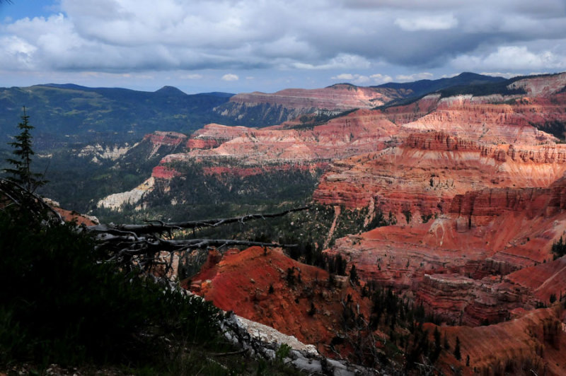 Cedar Breaks view - Utah15 7417