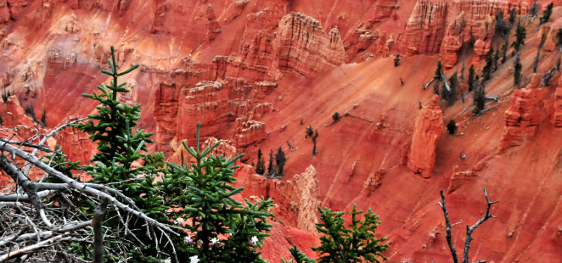 Cedar Breaks view - Utah15 7423b2