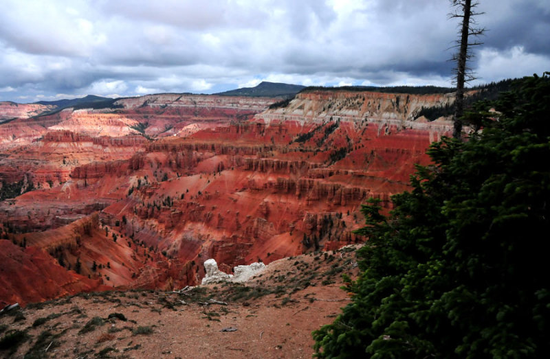 Cedar Breaks view - Utah15 7434