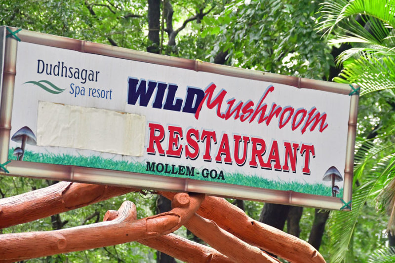Stopping for tea at the Wild Mushroom Restaurant - India 1 8763