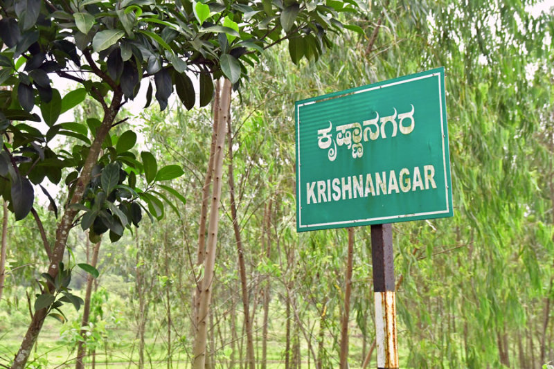 Krishnanagar - India 1 8887