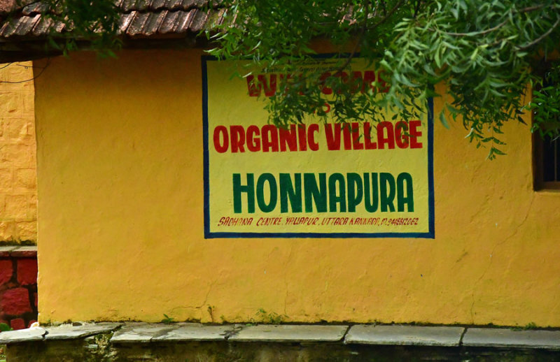 Honnapura - Organic village - India 1 9028