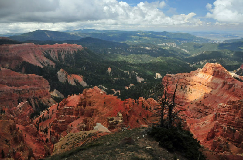 Cedar Breaks view - Utah15 7491