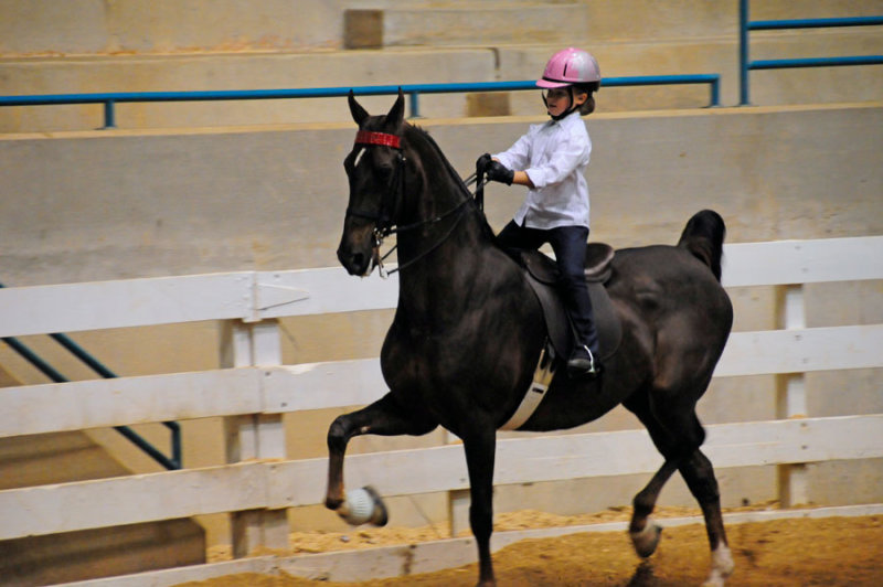 RGB3Ridinglesson51743