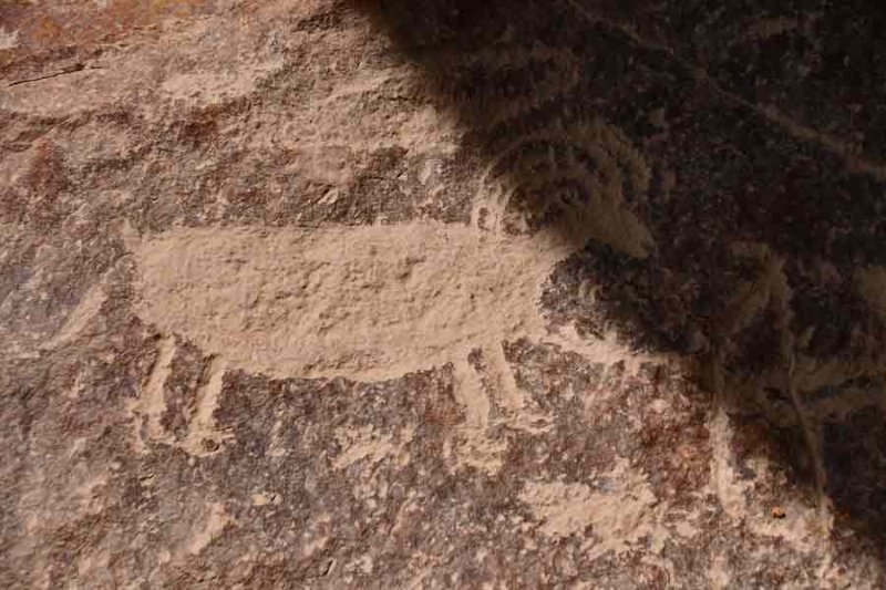 Daddy Canyon petroglyphs - Utah19 2 0138