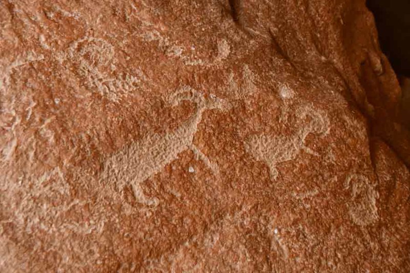 Daddy Canyon petroglyphs - Utah19 2 0141