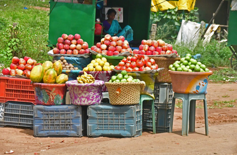 Roadside fruit market - India 1 9071