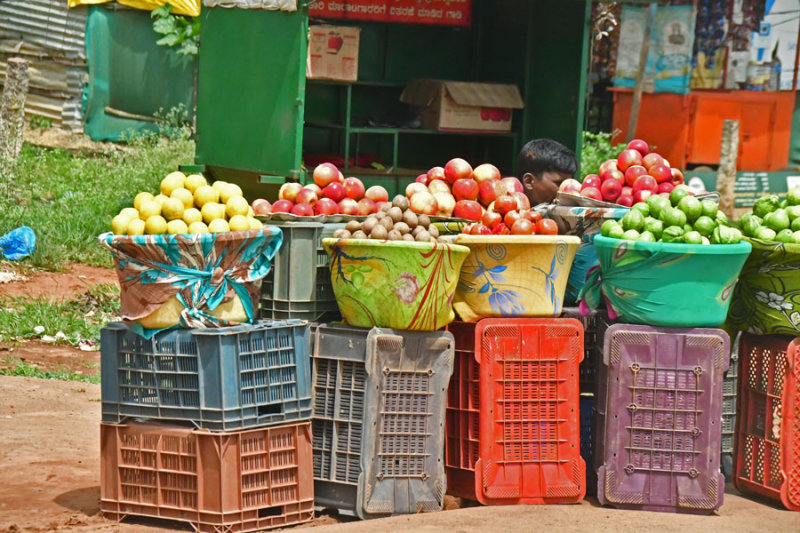 Roadside fruit market - India 1 9072