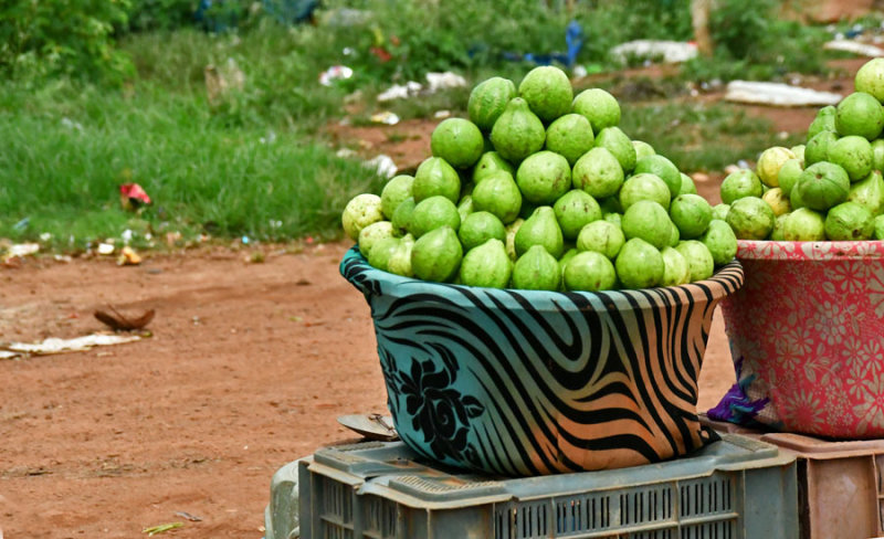 Roadside fruit market - India 1 9074