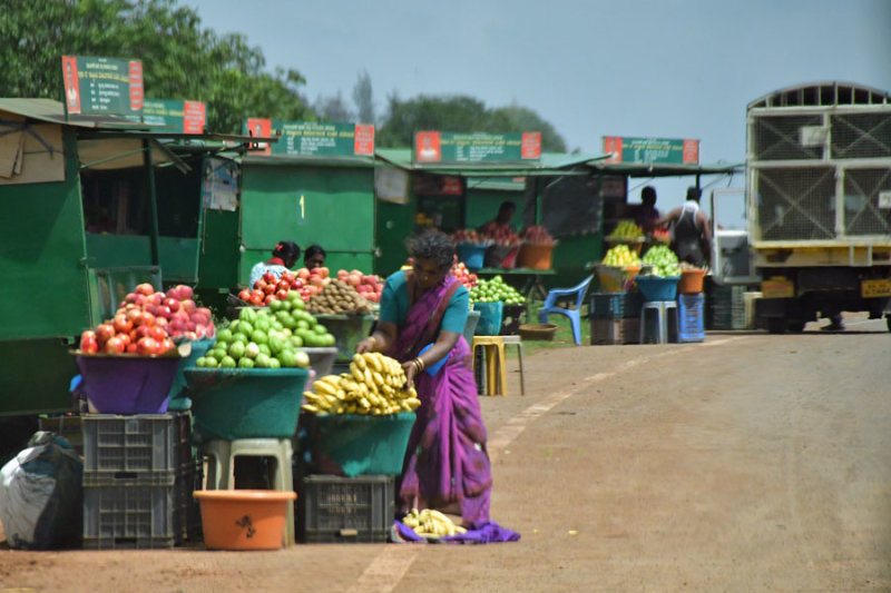 Roadside fruit market - India 1 9095