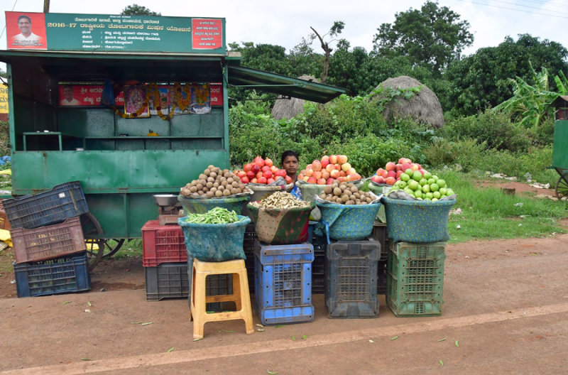 Roadside fruit market - India 1 9107