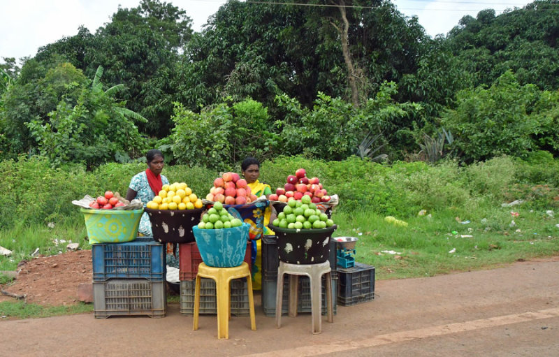 Roadside fruit market - India 1 9111