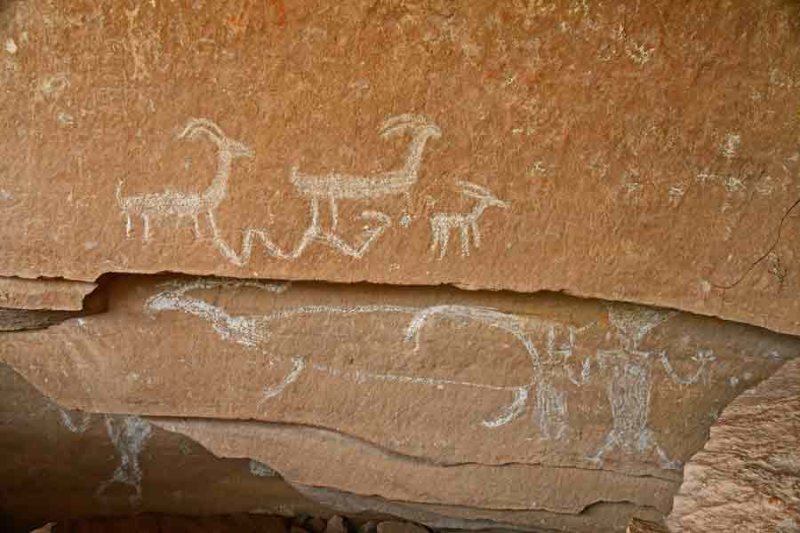 Daddy Canyon petroglyphs - Utah19 2 0143