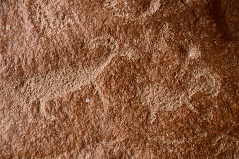 Daddy Canyon petroglyphs - Utah19 2 0147