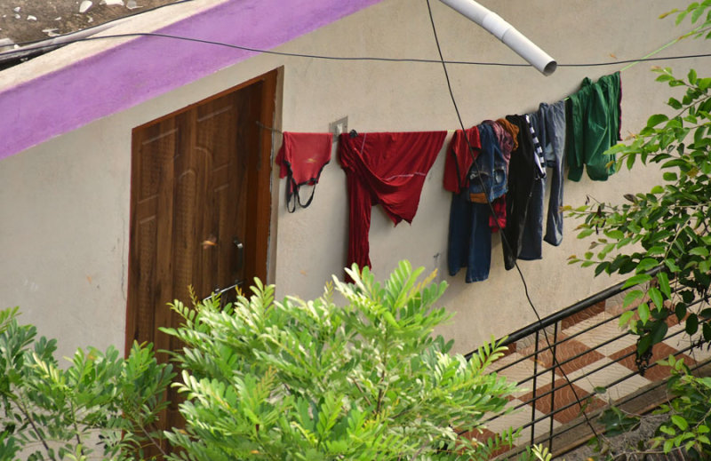 Morning laundry drying - India-1-9362