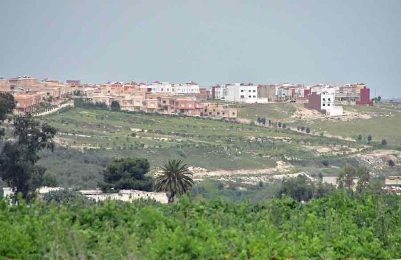 Moroc 2245