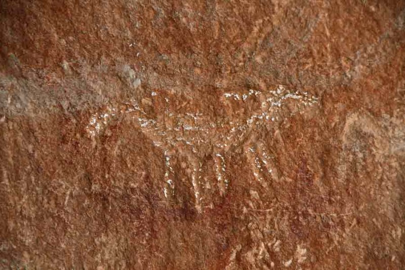 Daddy Canyon petroglyphs - Utah19-2-0169