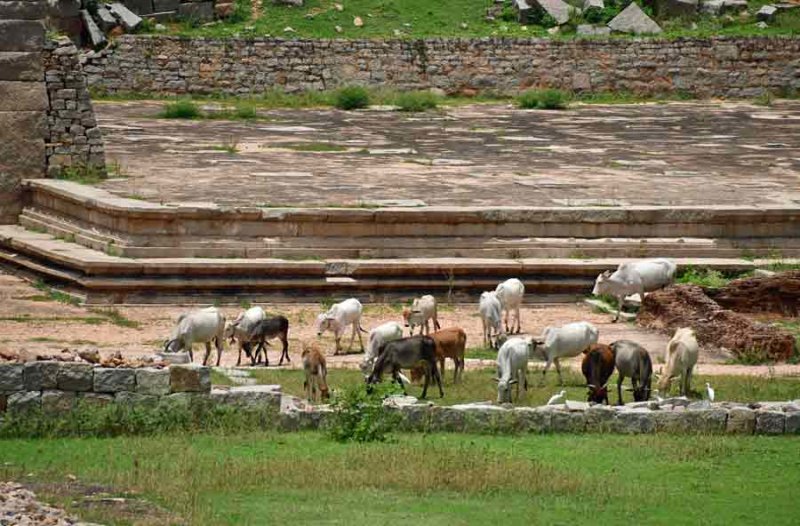 View from Throne Platform (Maha navami Dibba) - India-1-9713