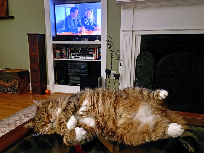 05-28 Still not interested in Netflix iE4357