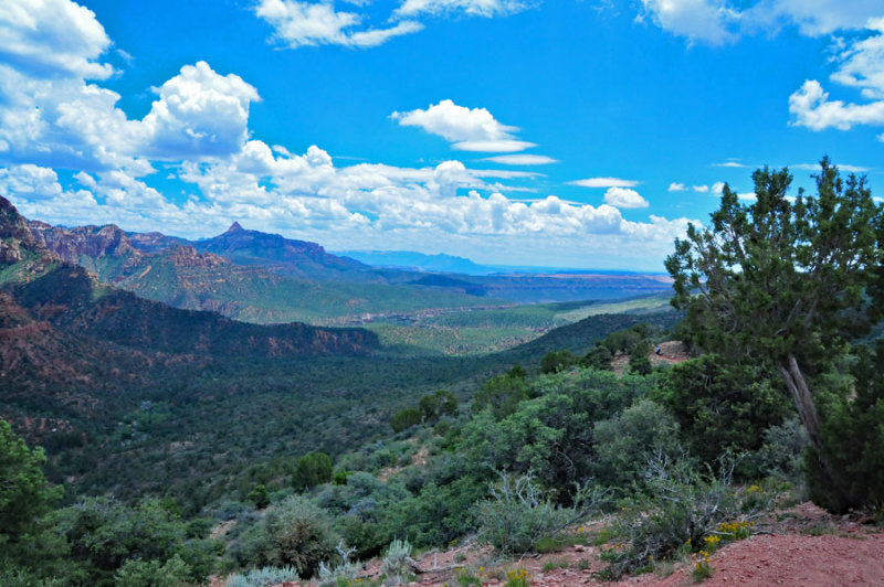 Canyon vista - Utah15-8124