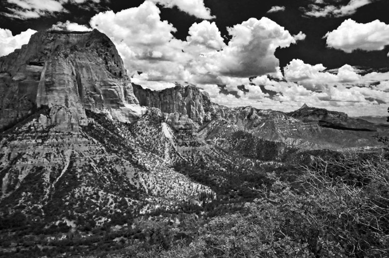 Canyon vista - Utah15-8133bw