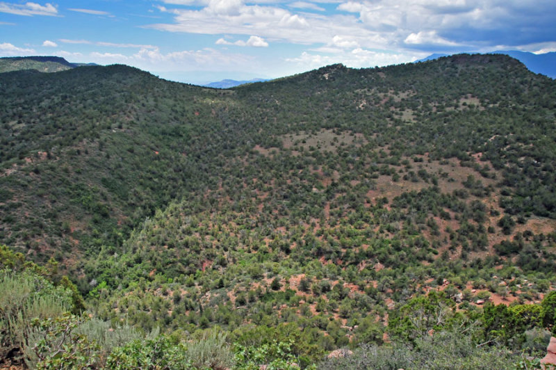 Utah15-8134