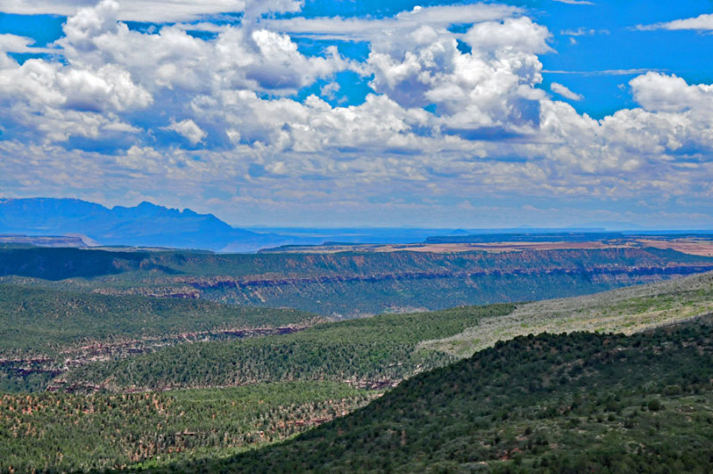 Canyon vista - Utah15-8137