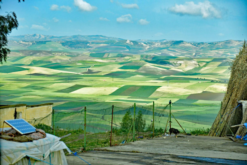 Patchwork fields - Moroc-2548