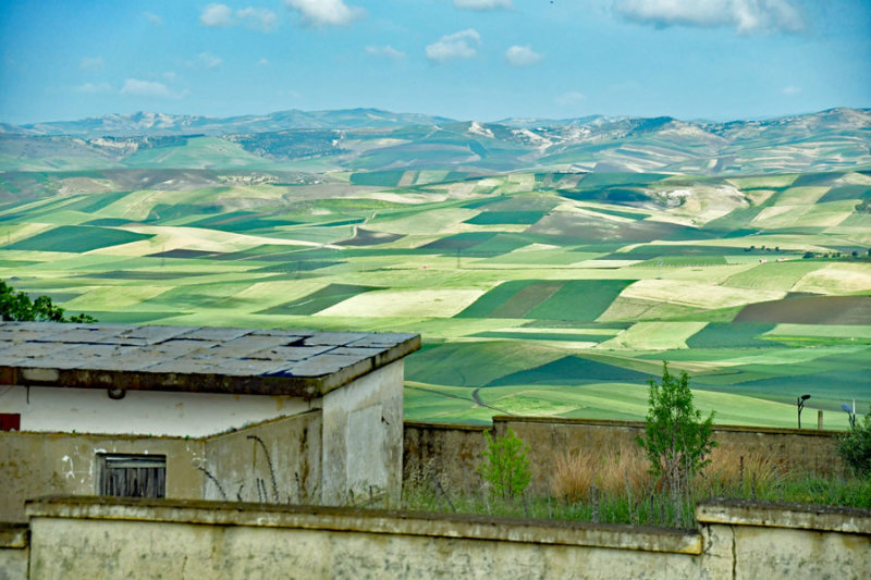 Patchwork fields - Moroc-2549