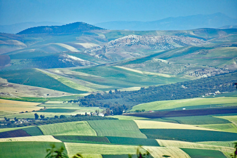When there is not desert there is agriculture - Moroc-2556