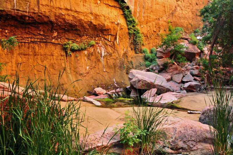 Zion - Utah15 - 8221