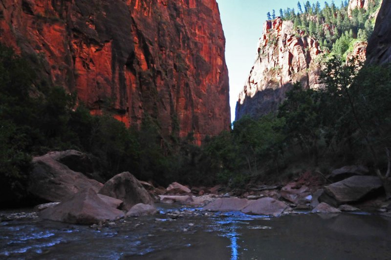 Zion-Utah15 - 8247