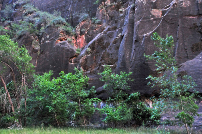 Zion-Utah15 - 8281