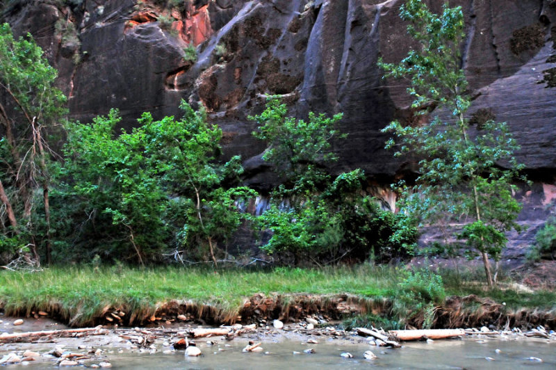 Zion-Utah15 - 8282