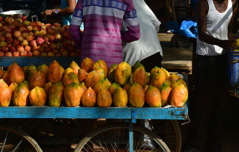 Papaya - India-2-0333