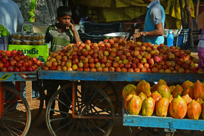 Fruit vender - India-2-0334