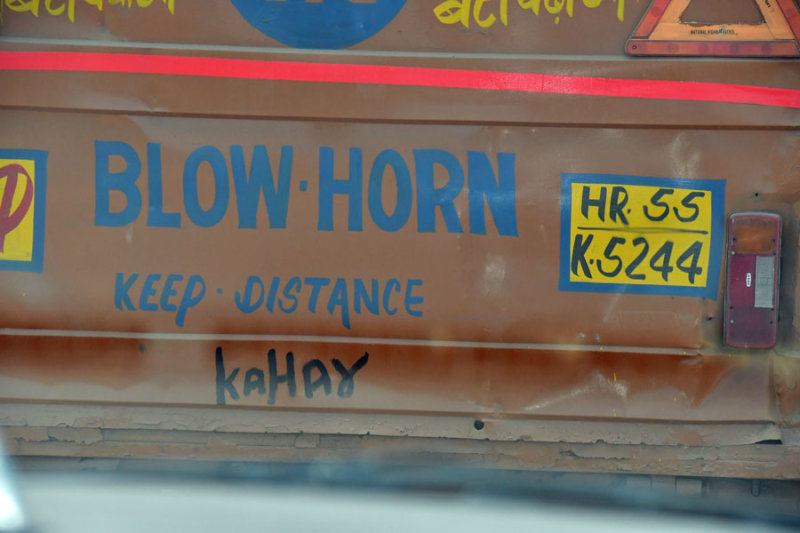 Blow horn - India-2-0384