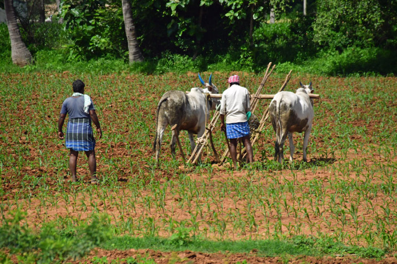 Help arrives? India-2-0392