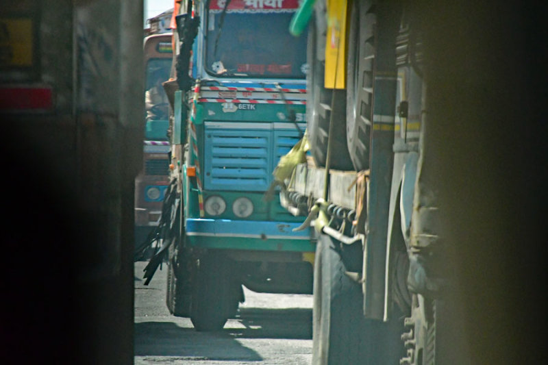 Up close and personal - India-2-0423