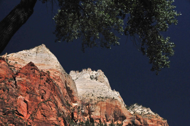 Zion-Utah15 - 8411