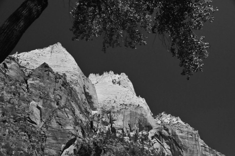 Zion-Utah15 - 8410bw